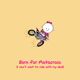 Motorcycle - Dirt Bike